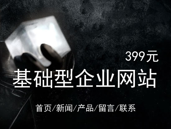 龙岩市网站建设网站设计最低价399元 岛内建站dnnic.cn