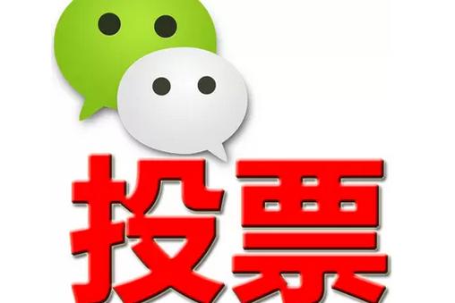 龙岩市微信投票功能开发 上传图片投票